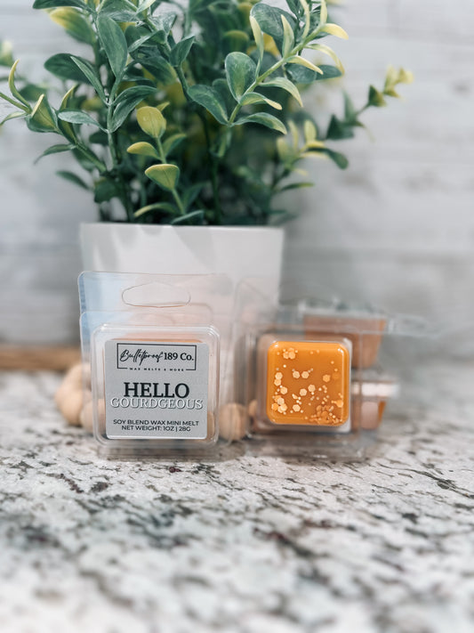 Mini Hello Gourdgeous! | Soy Blend Wax Melt